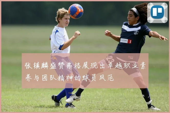张镇麟盛赞弗格展现出卓越职业素养与团队精神的球员风范